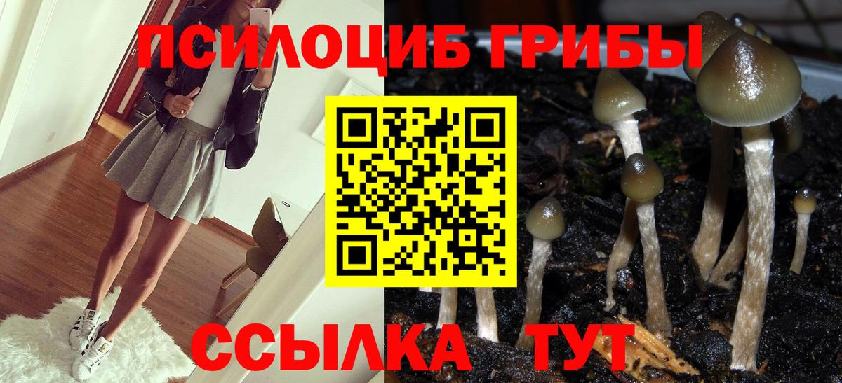 Псилоцибиновые грибы GOLDEN TEACHER Заводоуковск