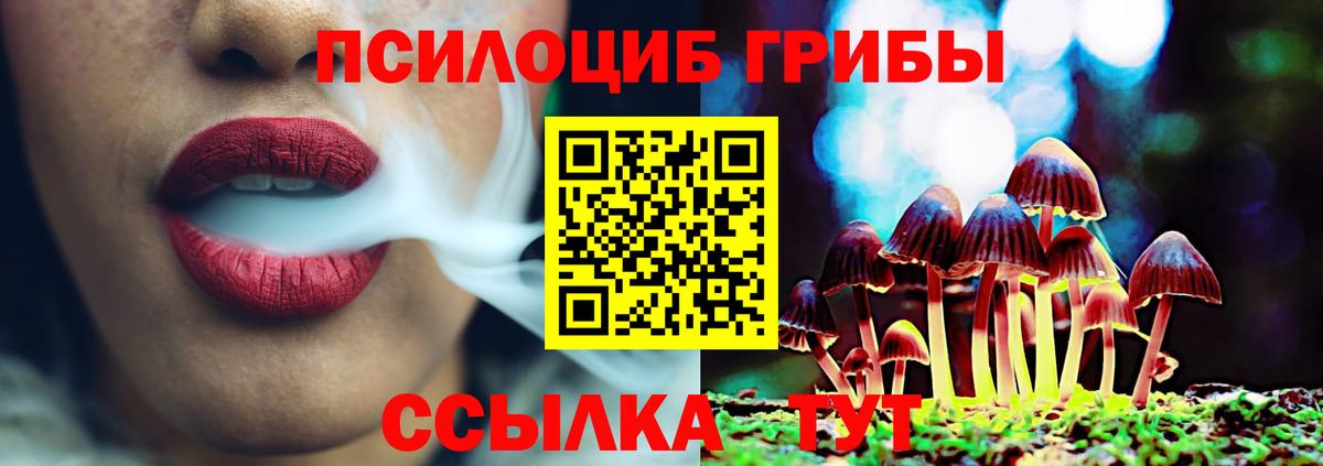 Заводоуковск  Галлюциногенные грибы Psilocybine cubensis  Вход с VPN 